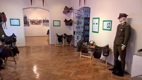 WP_20150208_15_31_44_Pro