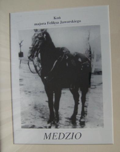 medzio